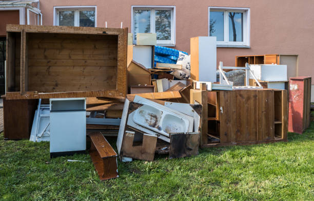 Yard Cleanup Services in Roanoke, IL