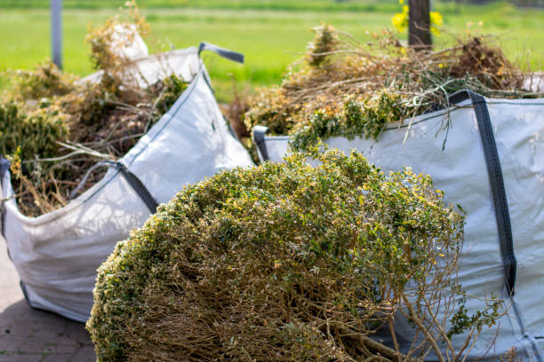 Best Estate Cleanout Services  in Roanoke, IL