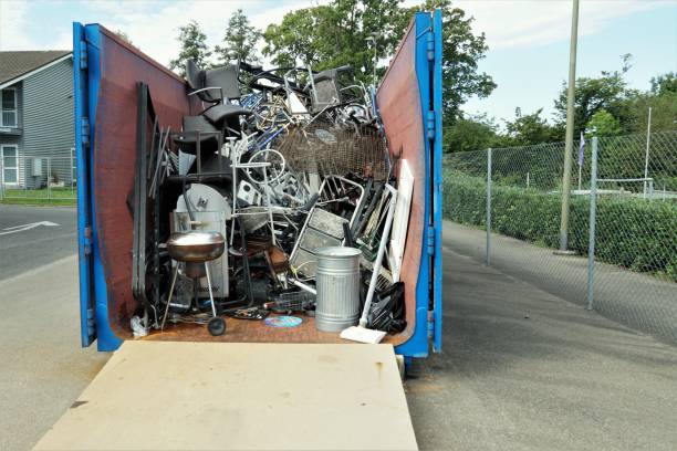 Best Yard Cleanup Services  in Roanoke, IL