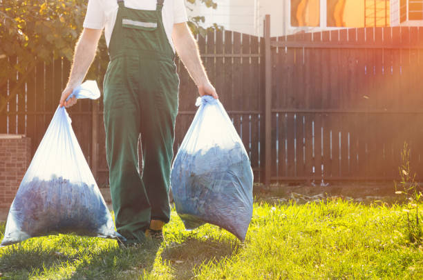 Best Local Junk Hauling  in Roanoke, IL