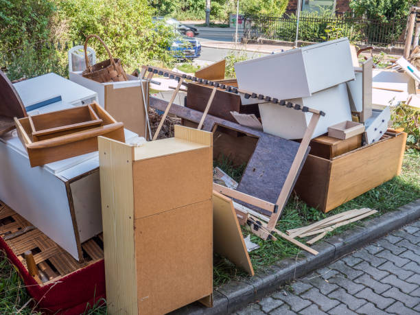 Best Affordable Junk Removal Services  in Roanoke, IL