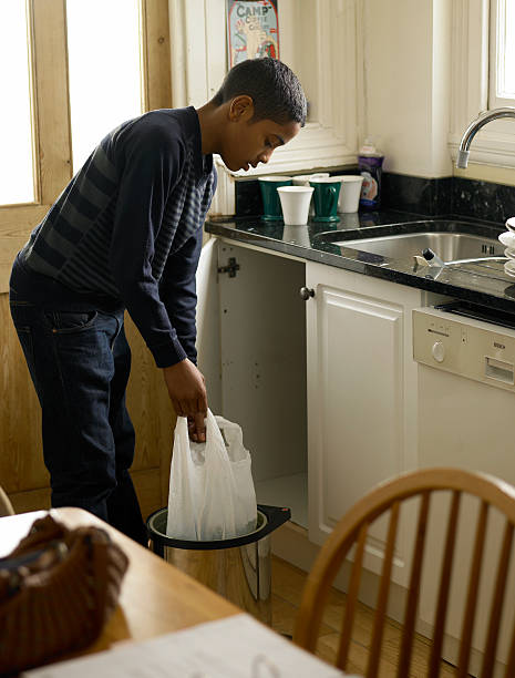 Best Attic Cleanout Services  in Roanoke, IL